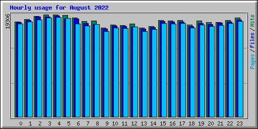 Hourly usage for August 2022