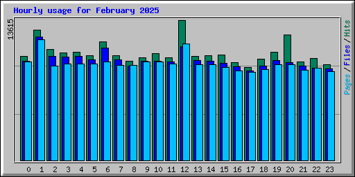 Hourly usage for February 2025