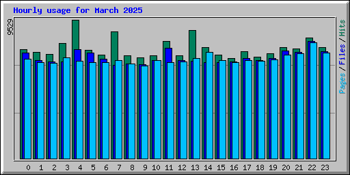 Hourly usage for March 2025