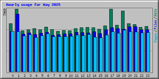 Hourly usage for May 2025