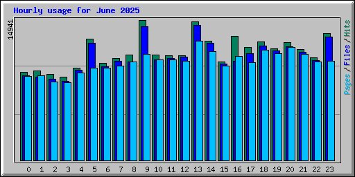 Hourly usage for June 2025