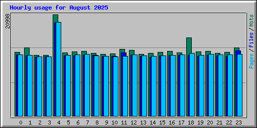 Hourly usage for August 2025