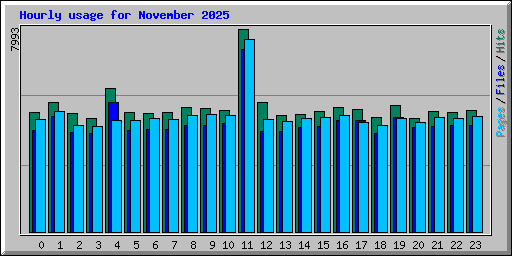 Hourly usage for November 2025