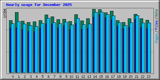 Hourly usage for December 2025