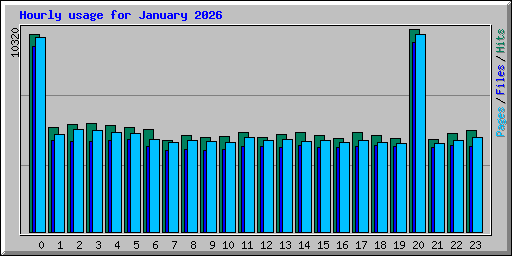 Hourly usage for January 2026