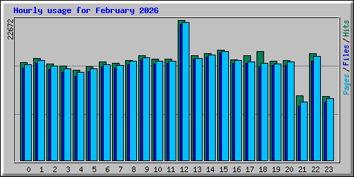 Hourly usage for February 2026