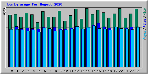 Hourly usage for August 2026